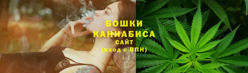 Марихуана SATIVA & INDICA  Новодвинск 